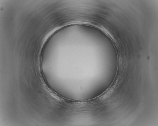 X0000075810854200610151428