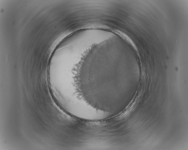 X0000075810855200610151428