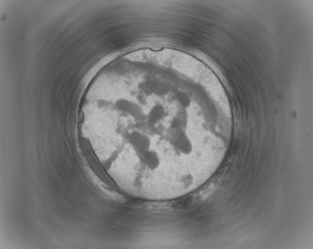 X0000075810861200610151428