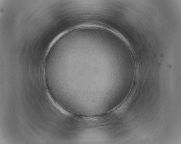 X0000075810862200610151428