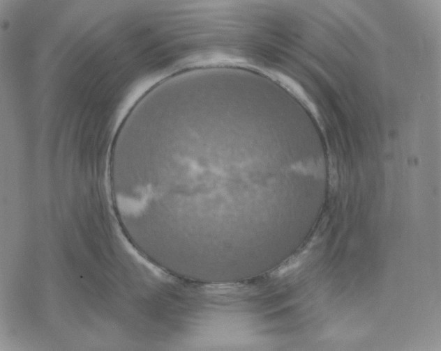 X0000075810863200610151428