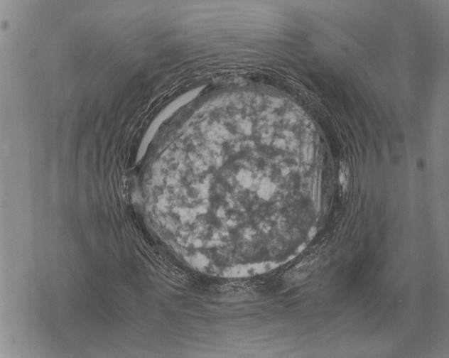 X0000075810867200610151427