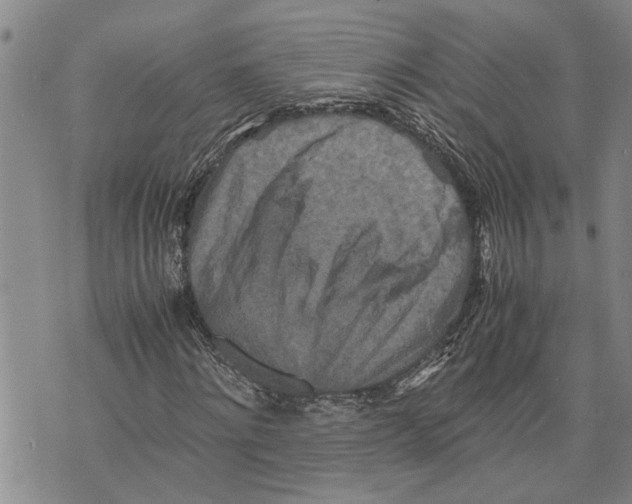 X0000075810868200610151427