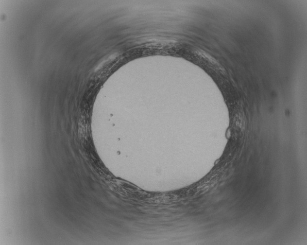 X0000075810869200610151427