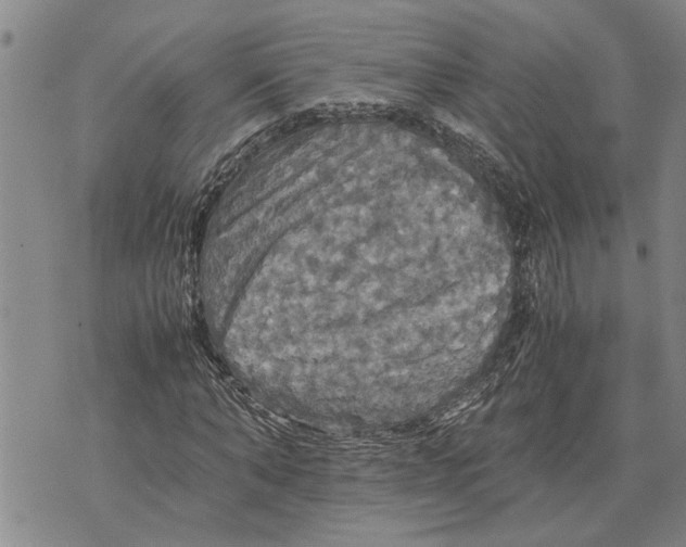 X0000075810870200610151427