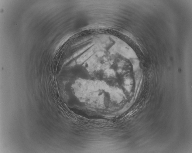 X0000075810871200610151427