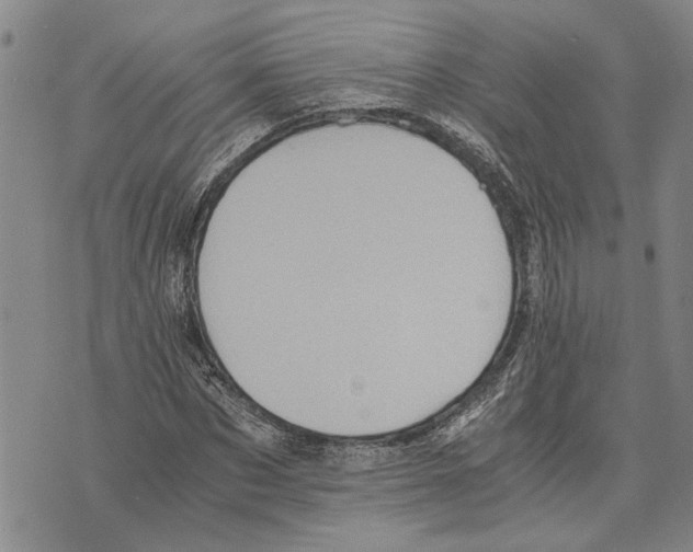 X0000075810873200610151427