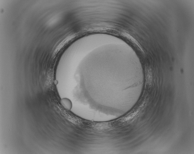 X0000075810874200610151427