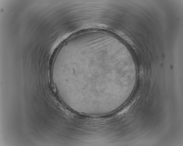 X0000075810877200610151427