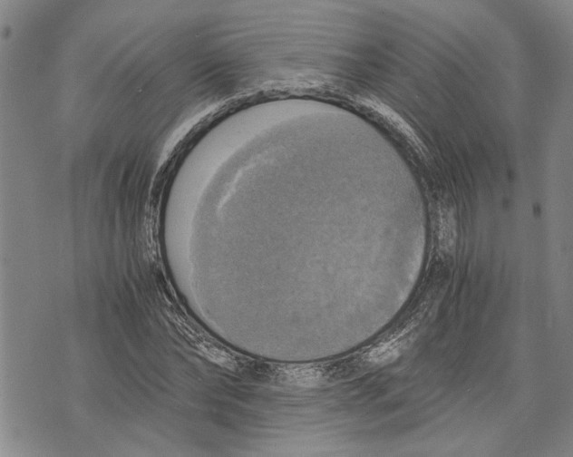 X0000075810878200610151427