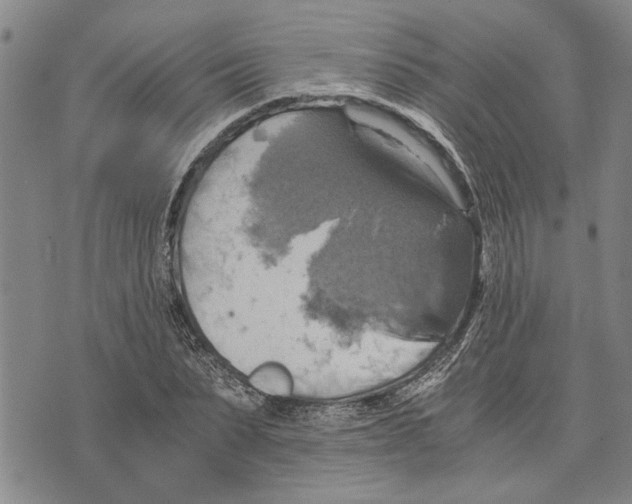 X0000075810879200610151427