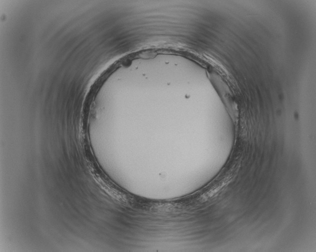 X0000075810880200610151427