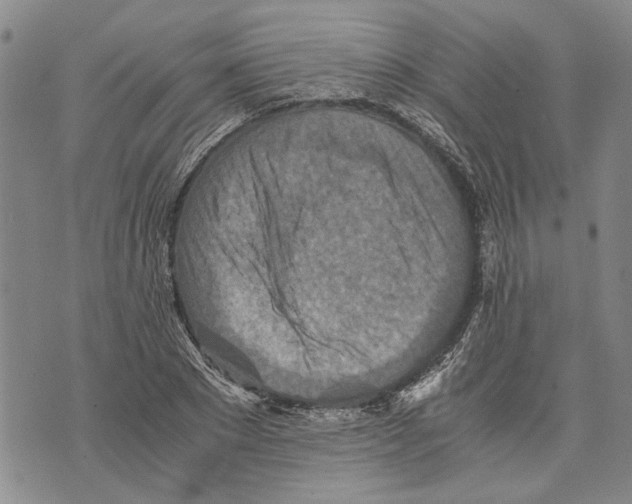 X0000075810881200610151427