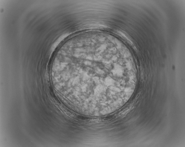 X0000075810883200610151427