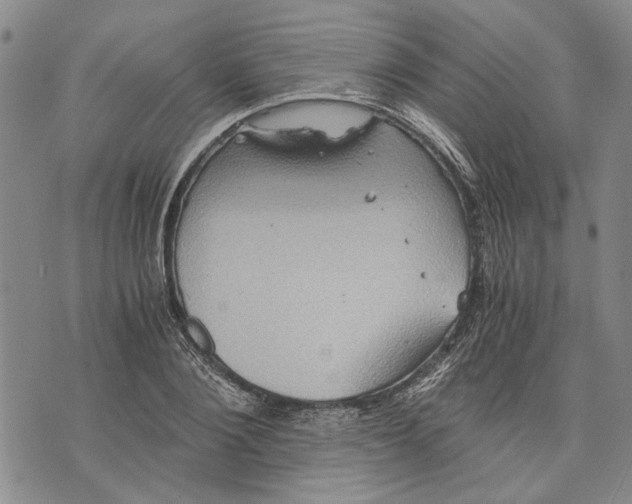 X0000075810884200610151427