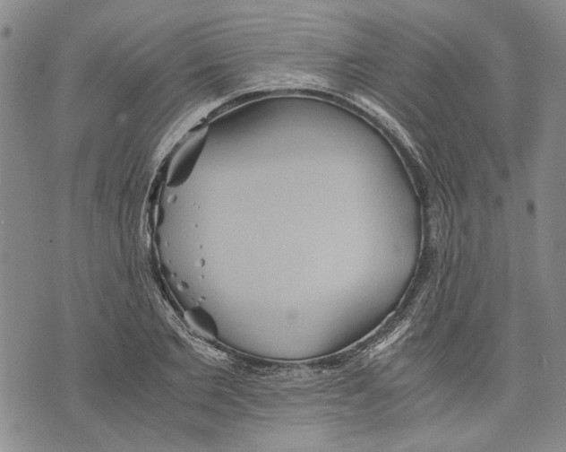 X0000075810885200610151427