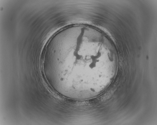 X0000075810887200610151427