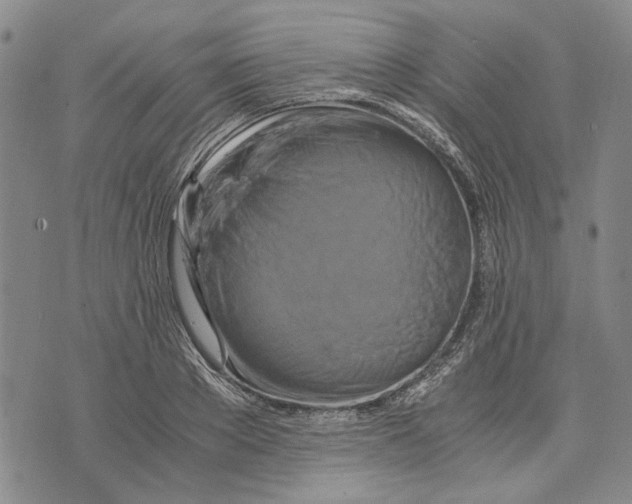 X0000075810889200610151427