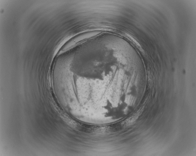 X0000075810891200610151427