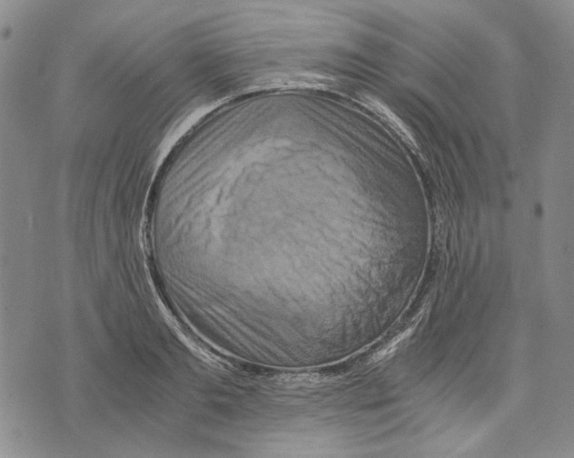 X0000075810893200610151427