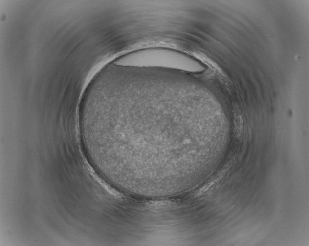 X0000075810894200610151427