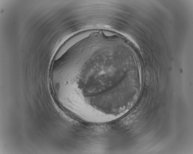 X0000075810895200610151427