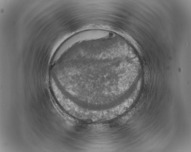 X0000075810896200610151427