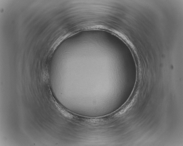 X0000075810897200610151427