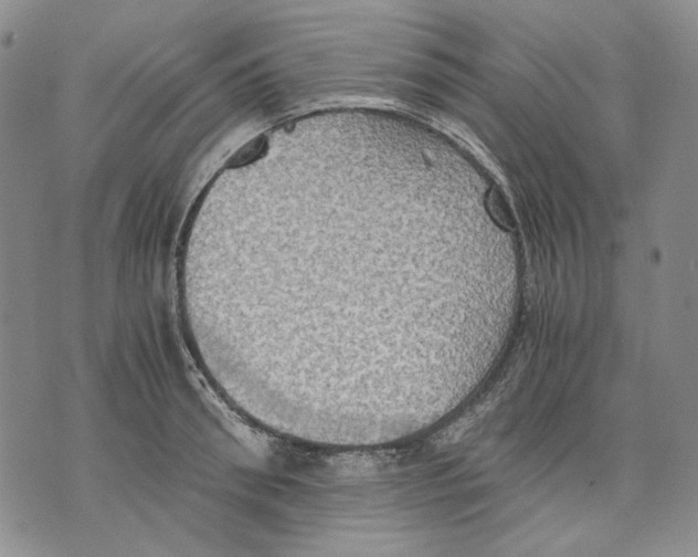 X0000075810898200610151427