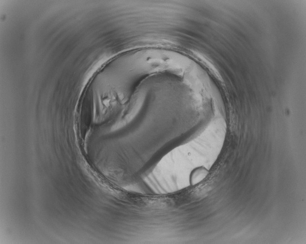 X0000075810899200610151427