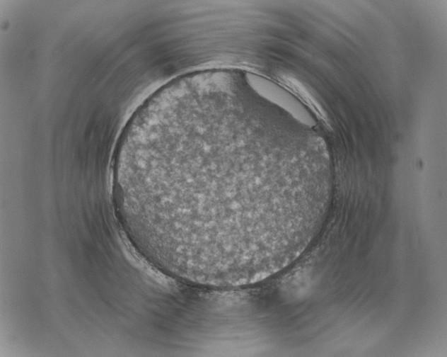 X0000075810900200610151427