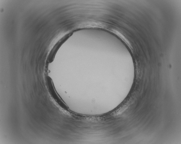 X0000075810901200610151427