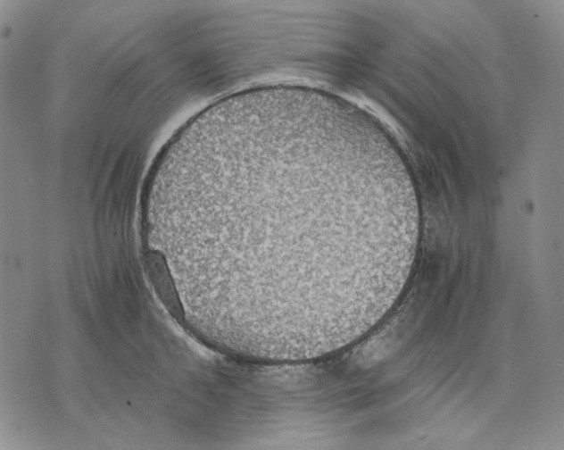 X0000075810902200610151427