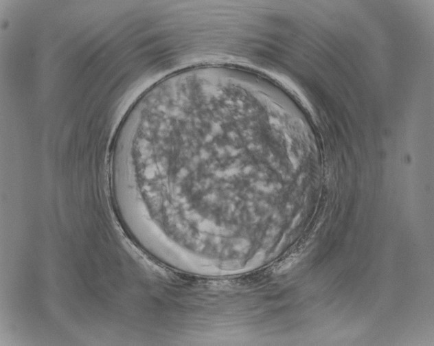 X0000075810903200610151427