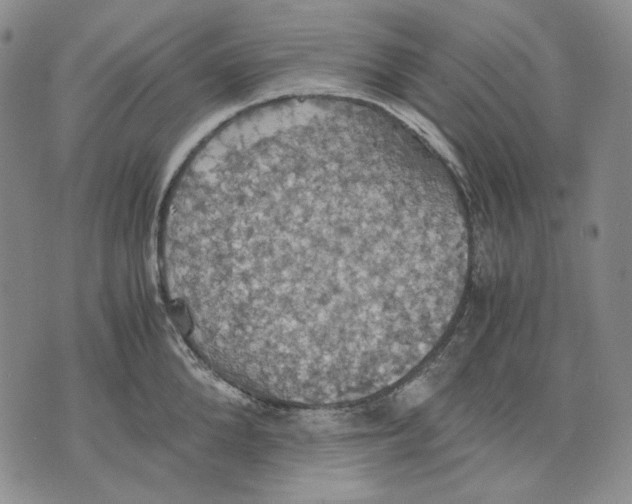 X0000075810904200610151427