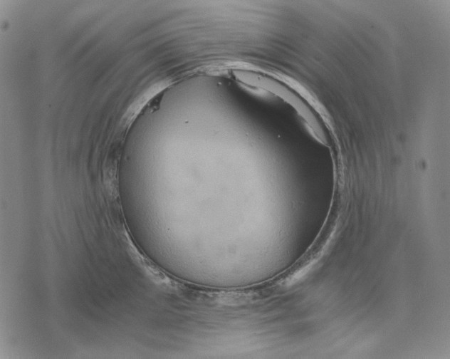 X0000075810905200610151427