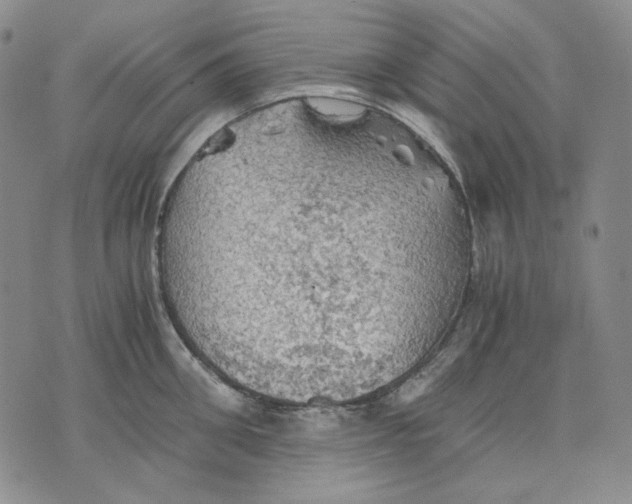 X0000075810906200610151427