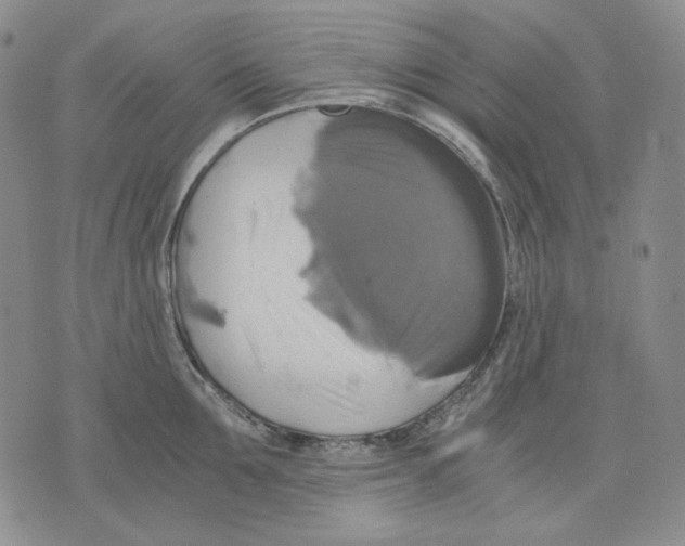 X0000075810907200610151427