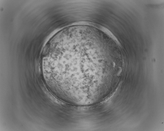 X0000075810908200610151427