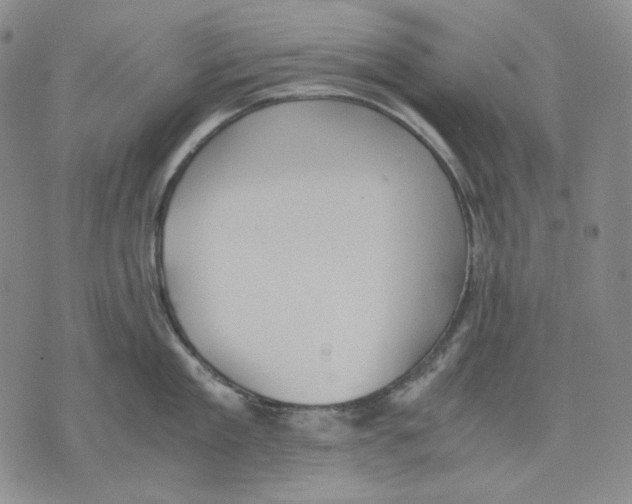 X0000075810909200610151427