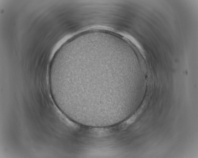 X0000075810910200610151427