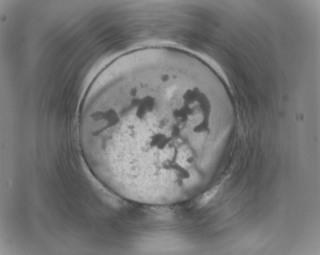 X0000075810911200610151427