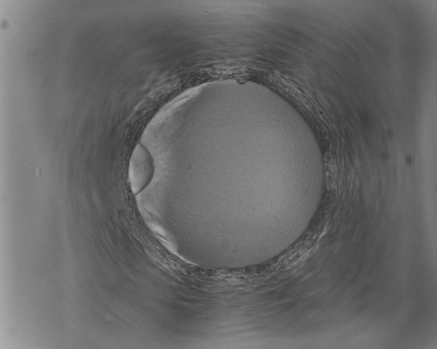 X0000075810913200610151426