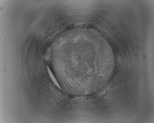 X0000075810914200610151426