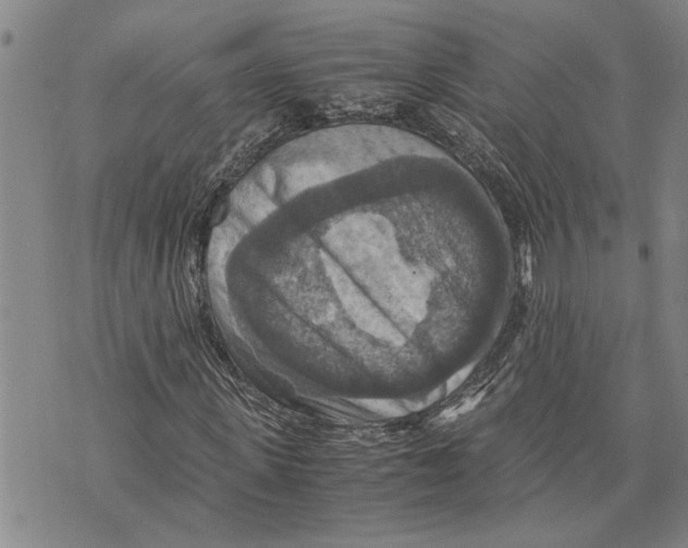 X0000075810915200610151426