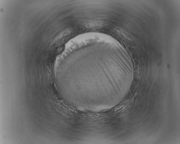 X0000075810917200610151426