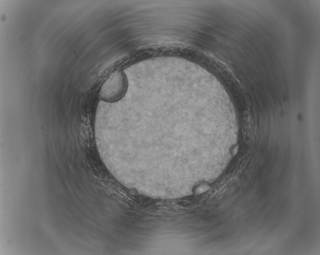 X0000075810918200610151426