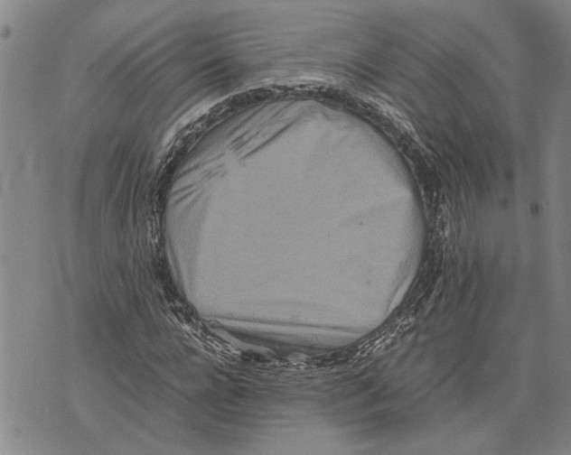 X0000075810920200610151426