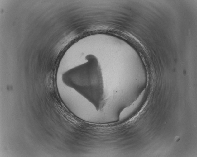 X0000075810921200610151426