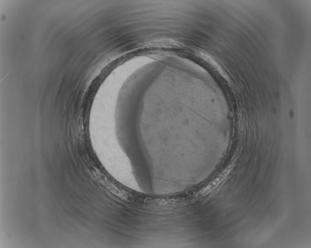 X0000075810923200610151426